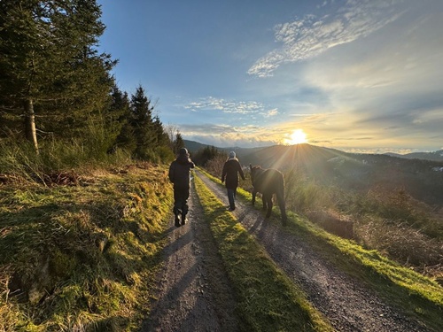 Wanderung mit Eseln 1